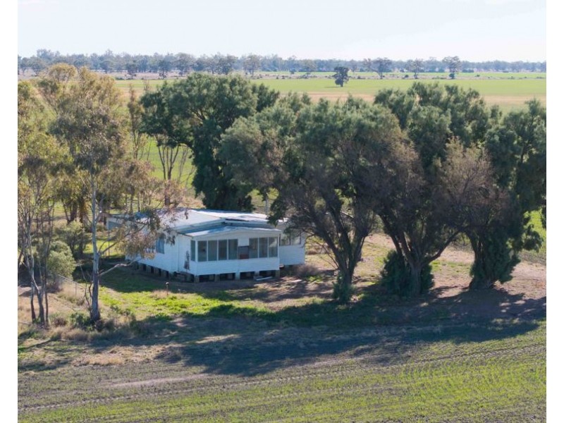 141 Cheecome Road, Moree NSW 2400