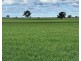 141 Cheecome Road, Moree NSW 2400
