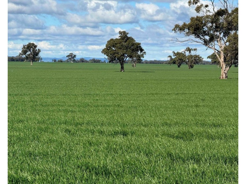 141 Cheecome Road, Moree NSW 2400