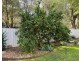 52 Boston Street, Moree NSW 2400