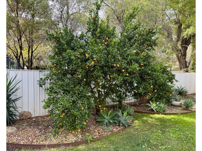 52 Boston Street, Moree NSW 2400