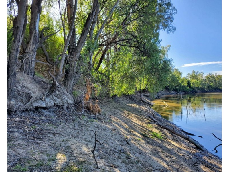 67 Brown ST, Boggabilla NSW 2409