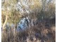 67 Brown ST, Boggabilla NSW 2409