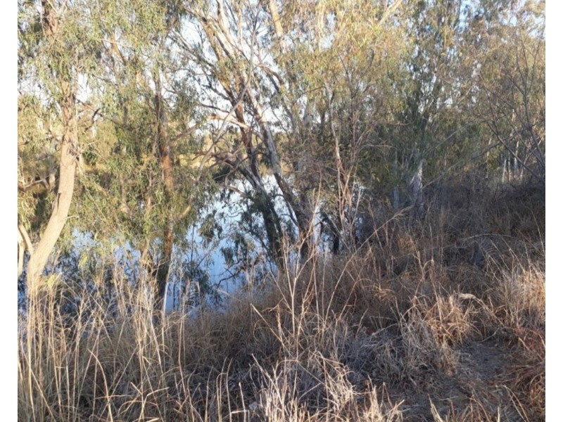 67 Brown ST, Boggabilla NSW 2409