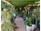 138 GREENBAH RD, Moree NSW 2400