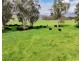 THE GLEN/308 Allambie Road, Edgeroi NSW 2390