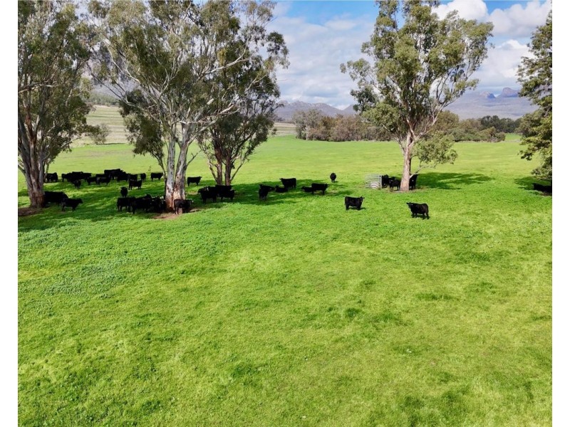 THE GLEN/308 Allambie Road, Edgeroi NSW 2390