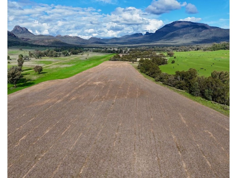 THE GLEN/308 Allambie Road, Edgeroi NSW 2390