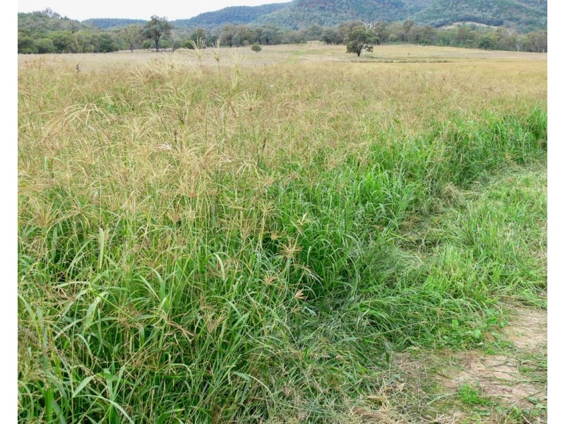 THE GLEN/308 Allambie Road, Edgeroi NSW 2390