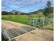 THE GLEN/308 Allambie Road, Edgeroi NSW 2390
