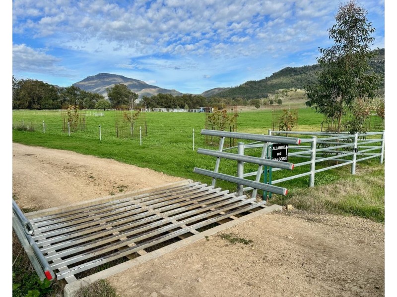THE GLEN/308 Allambie Road, Edgeroi NSW 2390
