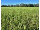 THE GLEN/308 Allambie Road, Edgeroi NSW 2390