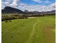THE GLEN/308 Allambie Road, Edgeroi NSW 2390