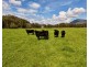 THE GLEN/308 Allambie Road, Edgeroi NSW 2390
