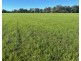 THE GLEN/308 Allambie Road, Edgeroi NSW 2390
