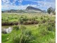 THE GLEN/308 Allambie Road, Edgeroi NSW 2390