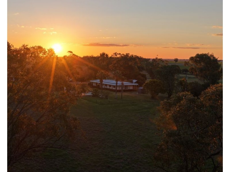 52 Cheecum Road, Moree NSW 2400