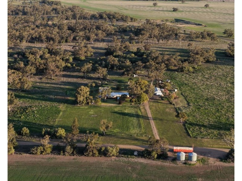 52 Cheecum Road, Moree NSW 2400