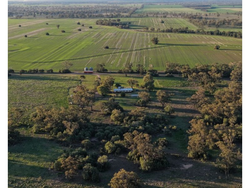 52 Cheecum Road, Moree NSW 2400