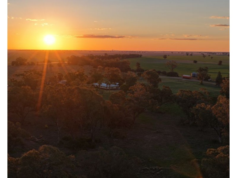 52 Cheecum Road, Moree NSW 2400