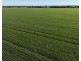 Billandrie West, Pallamallawa NSW 2399