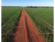 Billandrie West, Pallamallawa NSW 2399