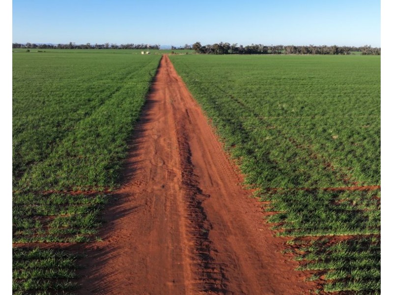 Billandrie West, Pallamallawa NSW 2399