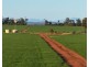 Billandrie West, Pallamallawa NSW 2399