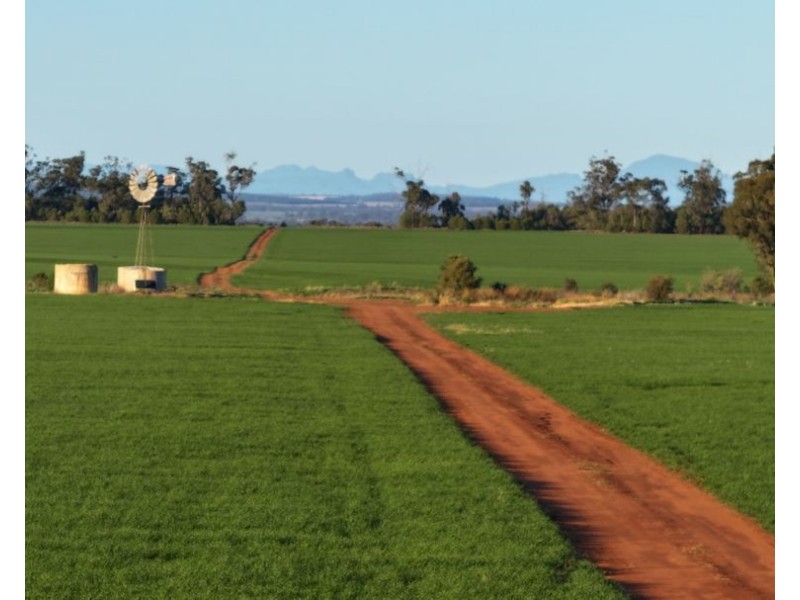 Billandrie West, Pallamallawa NSW 2399