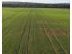 Billandrie West, Pallamallawa NSW 2399