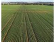 Billandrie West, Pallamallawa NSW 2399