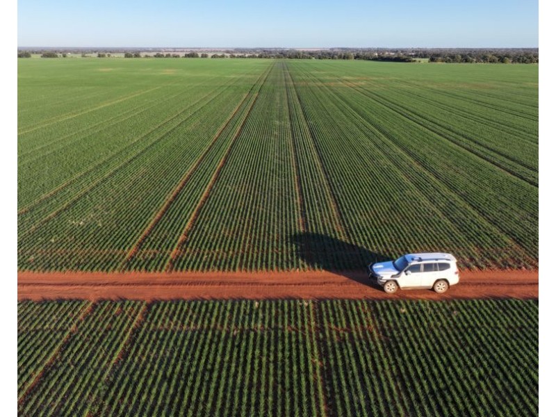 Billandrie West, Pallamallawa NSW 2399