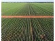 Billandrie West, Pallamallawa NSW 2399