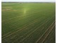 Billandrie West, Pallamallawa NSW 2399