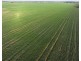 Billandrie West, Pallamallawa NSW 2399