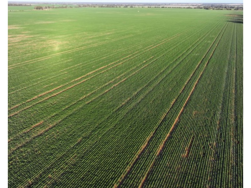 Billandrie West, Pallamallawa NSW 2399