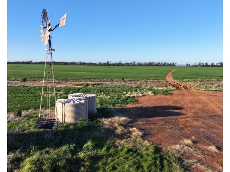 Billandrie West, Pallamallawa NSW 2399