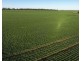 Billandrie West, Pallamallawa NSW 2399