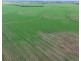 Billandrie West, Pallamallawa NSW 2399