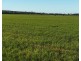 Billandrie West, Pallamallawa NSW 2399