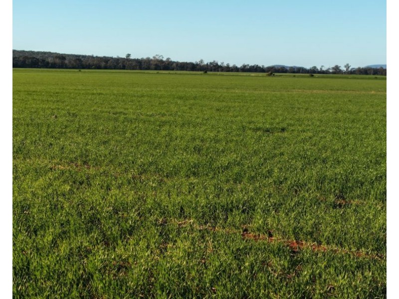 Billandrie West, Pallamallawa NSW 2399