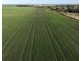 Billandrie West, Pallamallawa NSW 2399