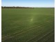 Billandrie West, Pallamallawa NSW 2399