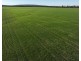 Billandrie West, Pallamallawa NSW 2399