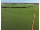 Billandrie West, Pallamallawa NSW 2399