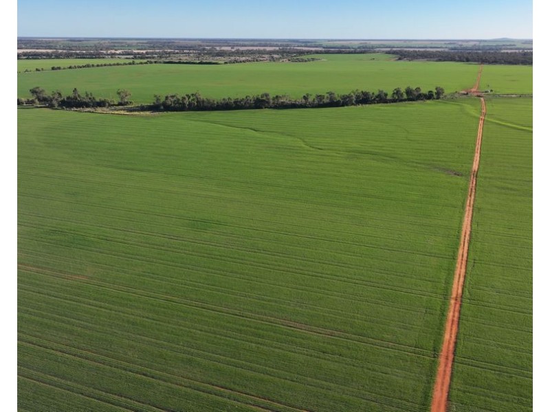 Billandrie West, Pallamallawa NSW 2399