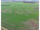 Billandrie West, Pallamallawa NSW 2399