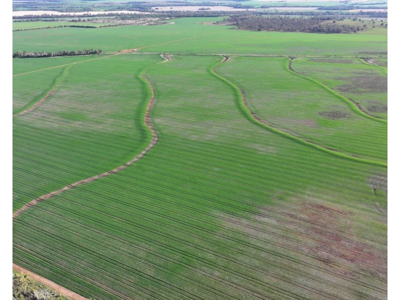 Billandrie West, Pallamallawa NSW 2399