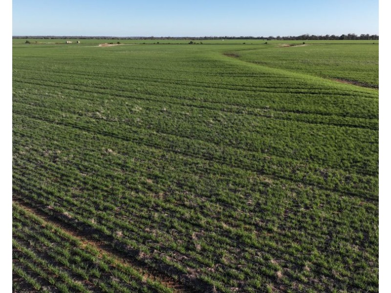 Billandrie West, Pallamallawa NSW 2399