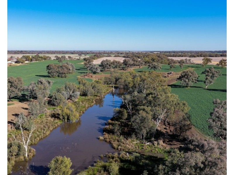 50 Boonery Road, Moree NSW 2400